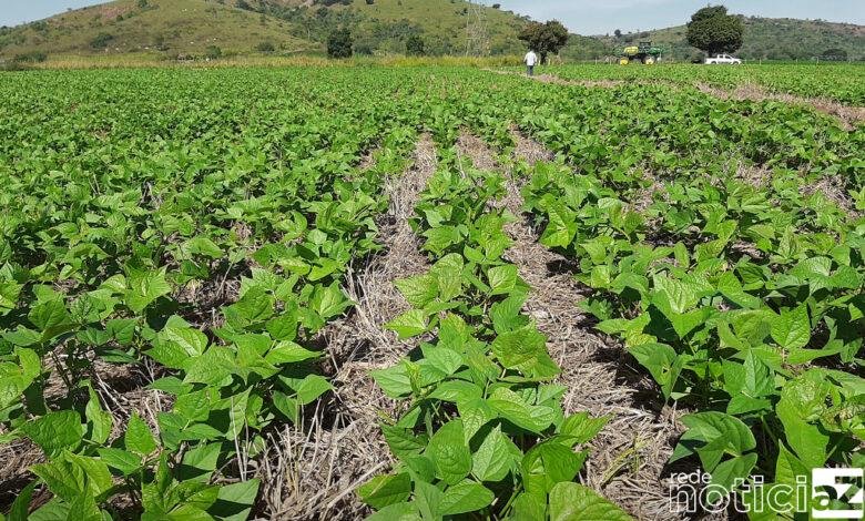 Conservação do solo