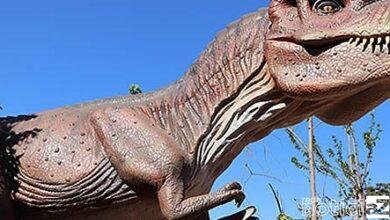 Exposição 'Parque dos Dinossauros' é a dica de passeio em Cajamar