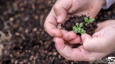 Educação Ambiental