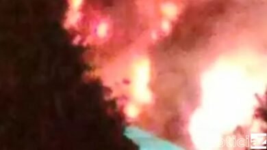 Bombeiros levaram 40 minutos para contralar fogo em Itupeva