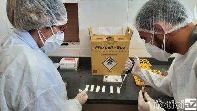 Conselhos de Saúde questionam pedido de fim da emergência da Covid-19 do Ministério da Saúde