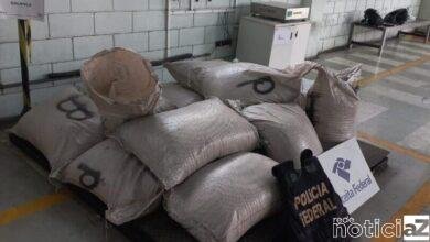 Mais de 600 Kg de cocaína são apreendidas no Porto de Santos