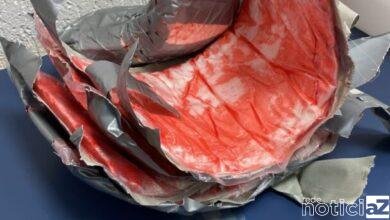 Casal de argentinos é preso ao tentar embarcar drogas no Porto de Santos