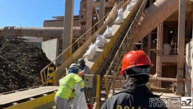 Três toneladas de drogas são incineradas pela Polícia em Santos