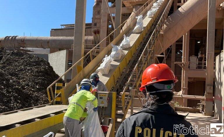 Três toneladas de drogas são incineradas pela Polícia em Santos