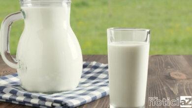 Conheça o leite tipo A2 lançado no Brasil