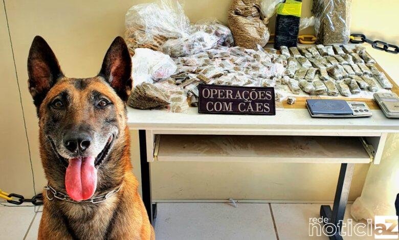 Guardas Municipais de Jundiaí apreendem 5kg de drogas