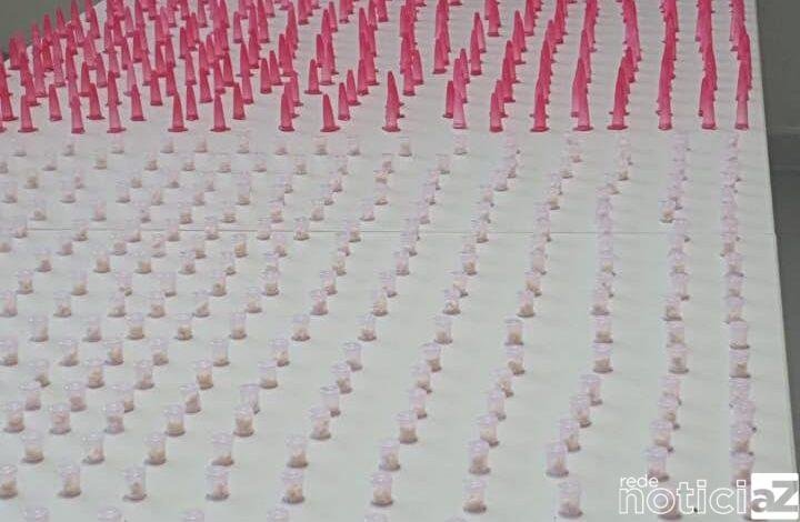 Polícia apreende 1.250 porções de drogas escondidas dentro de construção em Louveira