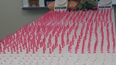 Polícia apreende 1.250 porções de drogas escondidas dentro de construção em Louveira