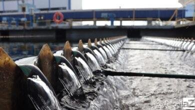 Inscrições para o concurso da DAE Jundiaí vão até 2 de junho