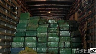 Mais de 5 toneladas de maconha é encontrada dentro de caminhão em rodovia de SP