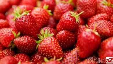 38ª edição Festa do Morango de Jarinu e Atibaia começa neste final de semana