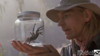 Aracnofobia ganhará remake a ser lançado em 2023