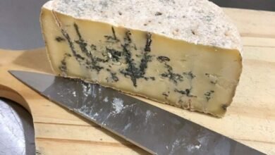 Conheça os queijos vivos artesanais