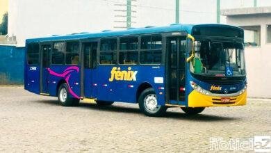 Jarinu oferece frota extra de ônibus para a Festa do Morango