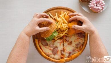 Ultraprocessados aumentam os riscos de obesidade