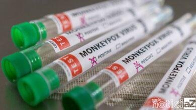 Várzea Paulista confirma primeiro caso de varíola dos macacos