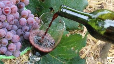 Brinde irá comemorar o Dia do Vinho em Jundiaí