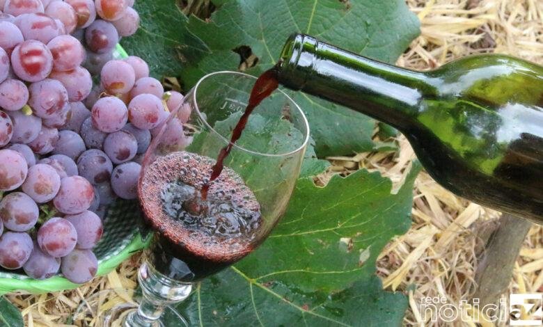 Brinde irá comemorar o Dia do Vinho em Jundiaí