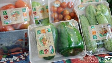 Portaria dispensa prazo de validade em embalagens de vegetais frescos