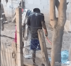 Vizinho flagra homem agredindo cachorro