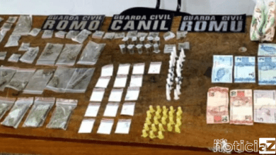 Guarda Municipal de Cajamar apreende grande quantia de drogas no Jordanésia