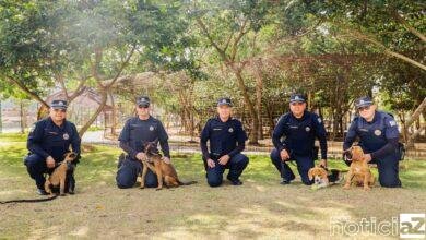 Canil da Guarda de Itupeva conta com quatro novos cães