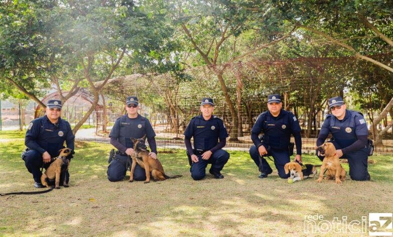 Canil da Guarda de Itupeva conta com quatro novos cães