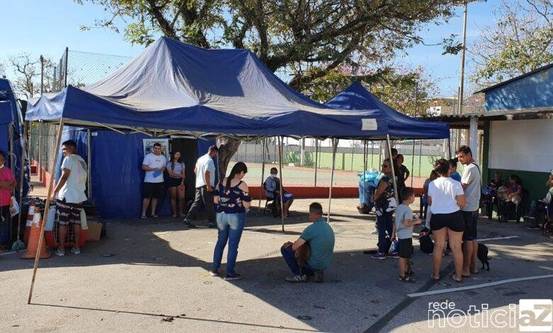 Mais de mil animais são castrados em 9 meses em Campo Limpo