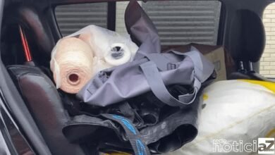 Operação da PF contra organização criminosa que agia no Porto de Santos apreende toneladas de drogas