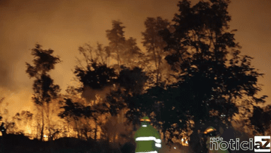 Fogo atinge mata de Várzea Paulista e moradores denunciam que houve ação criminosa