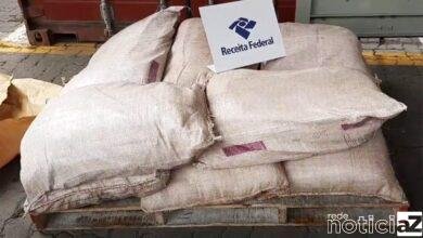 Quase meia tonelada de cocaína é apreendida no Porto de Santos