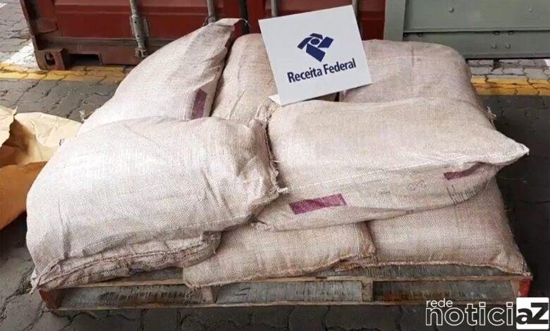 Quase meia tonelada de cocaína é apreendida no Porto de Santos