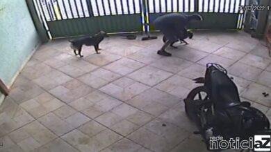 VÍDEO - Cachorros que sofriam maus tratos são resgatados em Praia Grande