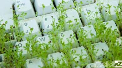 Artigo - A tecnologia verde para a sustentabilidade dos empreendimentos