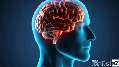 Envelhecimento do cérebro: Mitos e verdades sobre o assunto