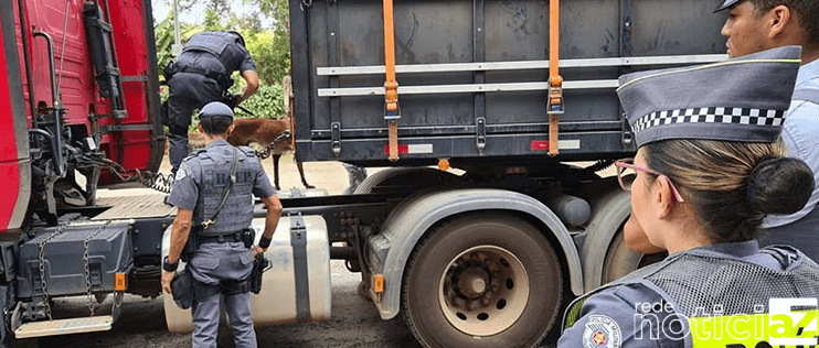 Dupla é presa após confronto com a Polícia Rodoviária e fazer uma pessoa refém