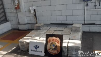 PF apreende mais de 300 Kg de cocaína em carga de laranja