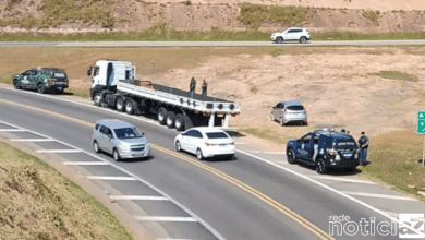 Guardas recuperam carretas roubadas