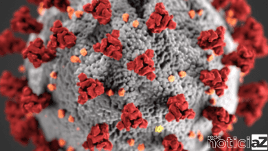 COVID 19: Brasil chega a 682 mil óbitos nesta semana