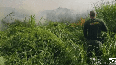 Divisão Florestal de Jundiaí combate fogo no Terra Nova