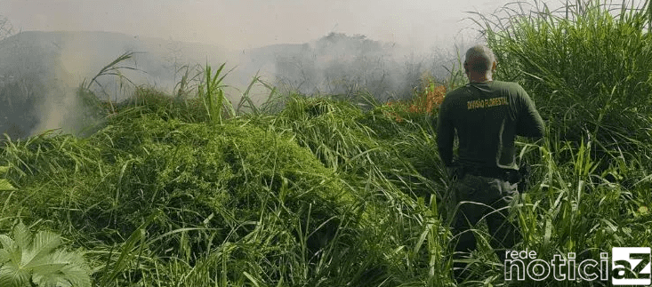Divisão Florestal de Jundiaí combate fogo no Terra Nova