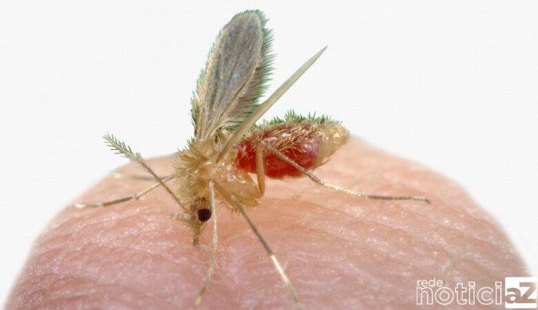 Louveira inicia a Semana de Combate à Leishmaniose