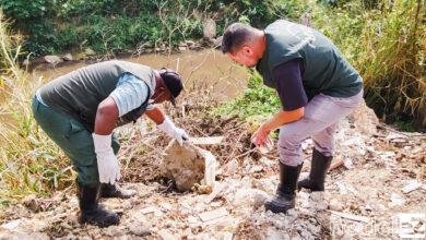Prefeitura de Itupeva faz ação no Quilombo sobre escorpiões