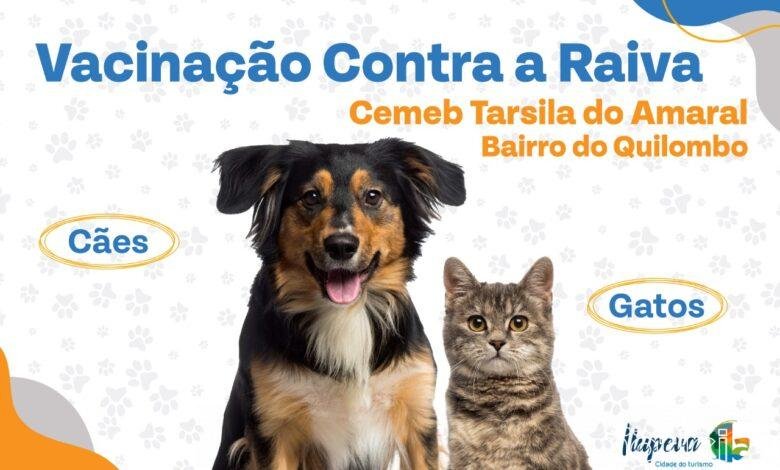 Sábado (6) é dia de vacinação antirrábica no Quilombo em Itupeva