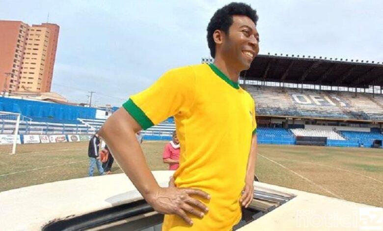 Estátua do Rei Pelé chega ao Museu de Cera em Olímpia (SP)