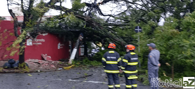 Quedas de árvores geram transtornos em Jundiaí