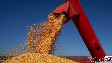 Brasil deve registrar safra recorde de 261,7 milhões de toneladas neste ano, segundo IBGE