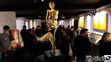 Faculdade de Medicina de Jundiaí inaugura Museu do Corpo Humano