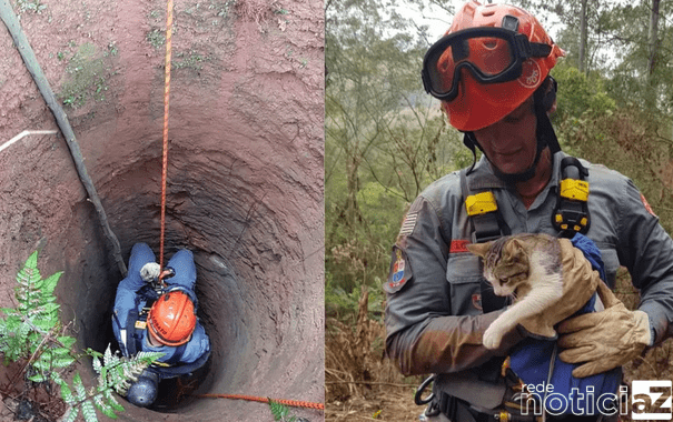 Gata é resgatada pelos Bombeiros após cair em poço de 20 metros